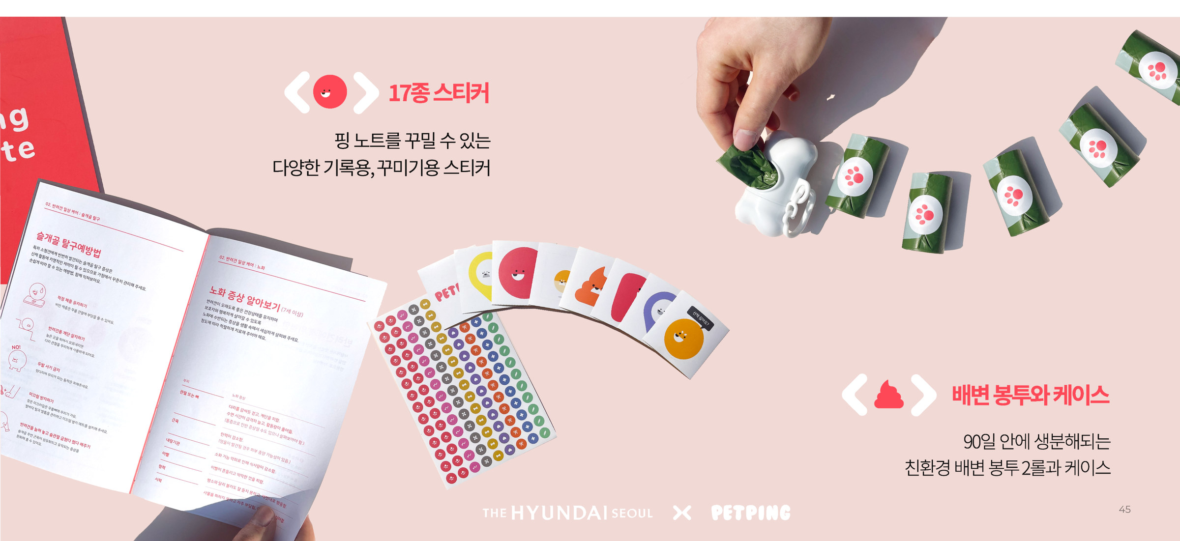 더현대 서울 X 펫핑 웰컴키트 화보