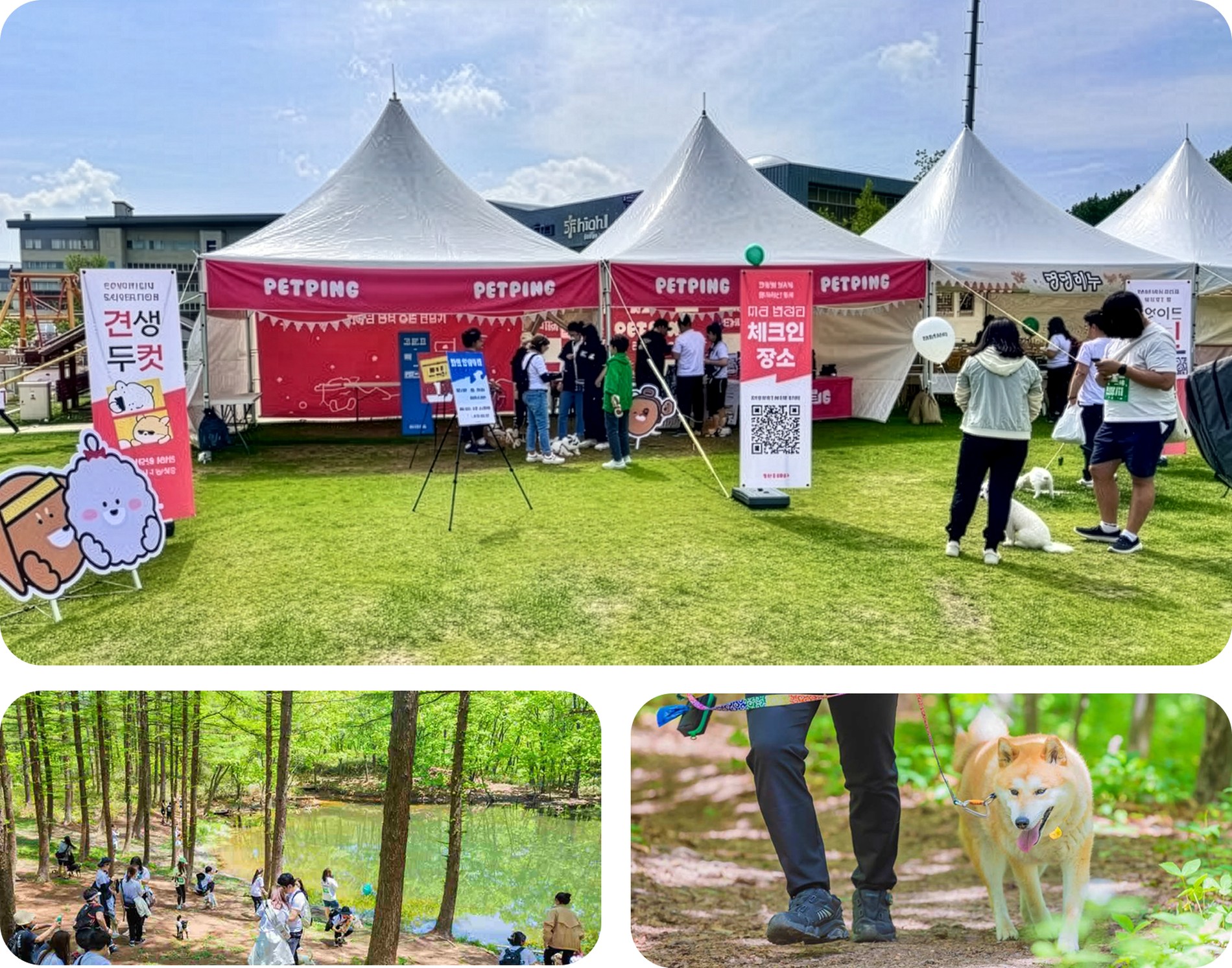 댕댕트레킹 현장 — 펫핑 부스와 체크인 존, 숲길 트레킹 코스