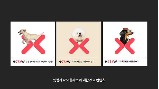 X펫핑 브랜드 가이드 11