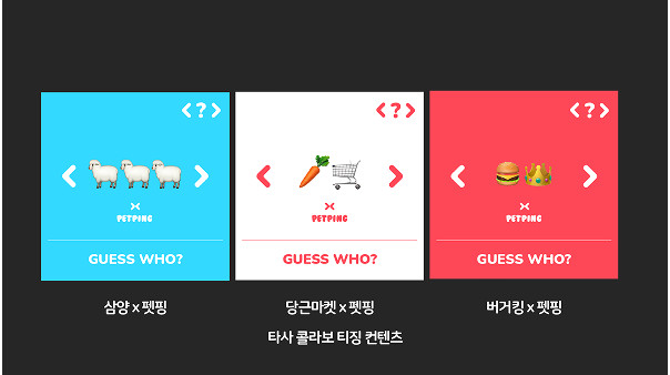X펫핑 브랜드 가이드 12