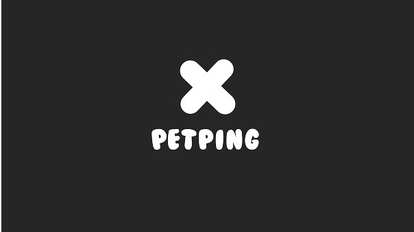 X펫핑 브랜드 가이드 16
