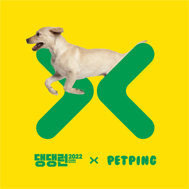 댕댕런 X 펫핑