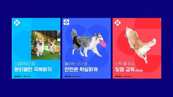 하울팟 확장 템플릿 2