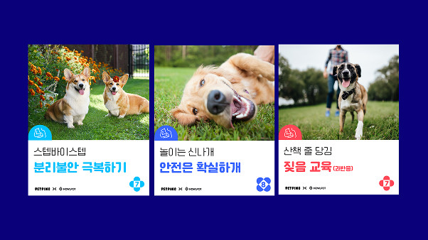 하울팟 확장 템플릿 4