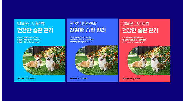 하울팟 확장 템플릿 5