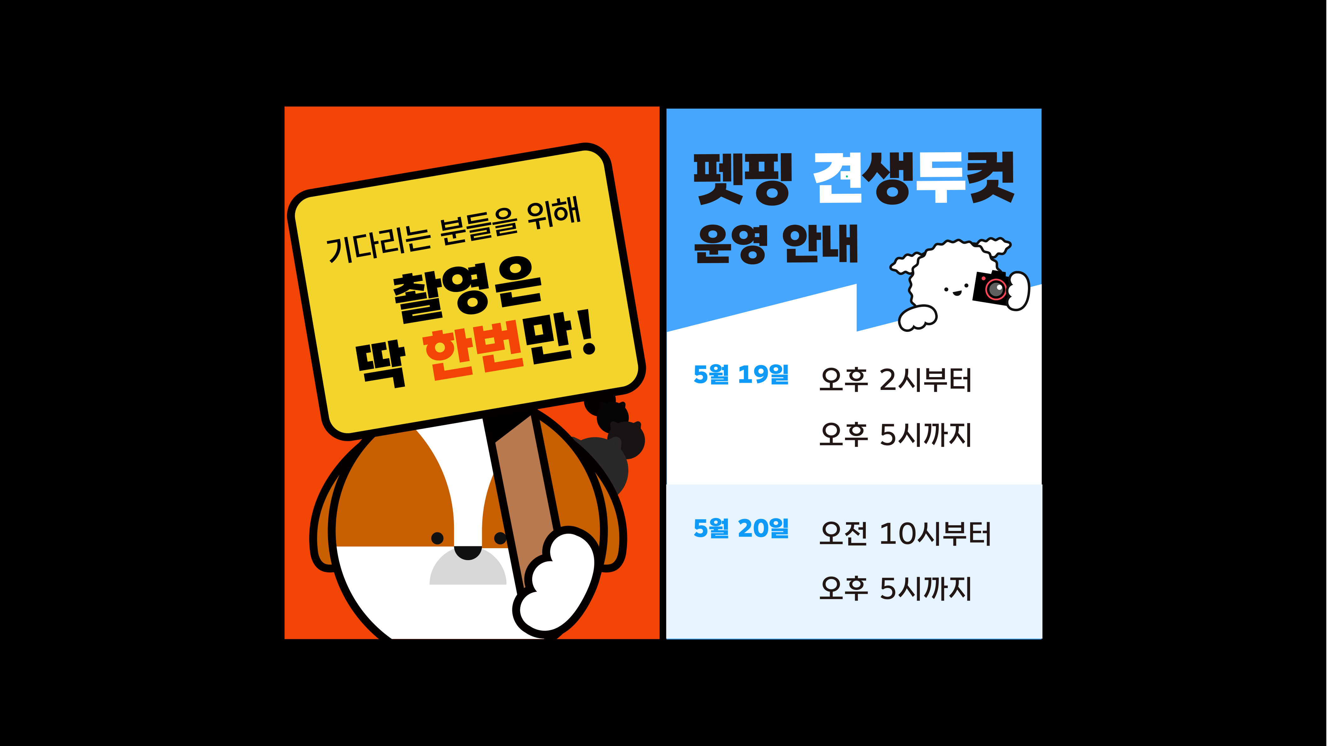 댕댕트레킹 부스 디자인 4