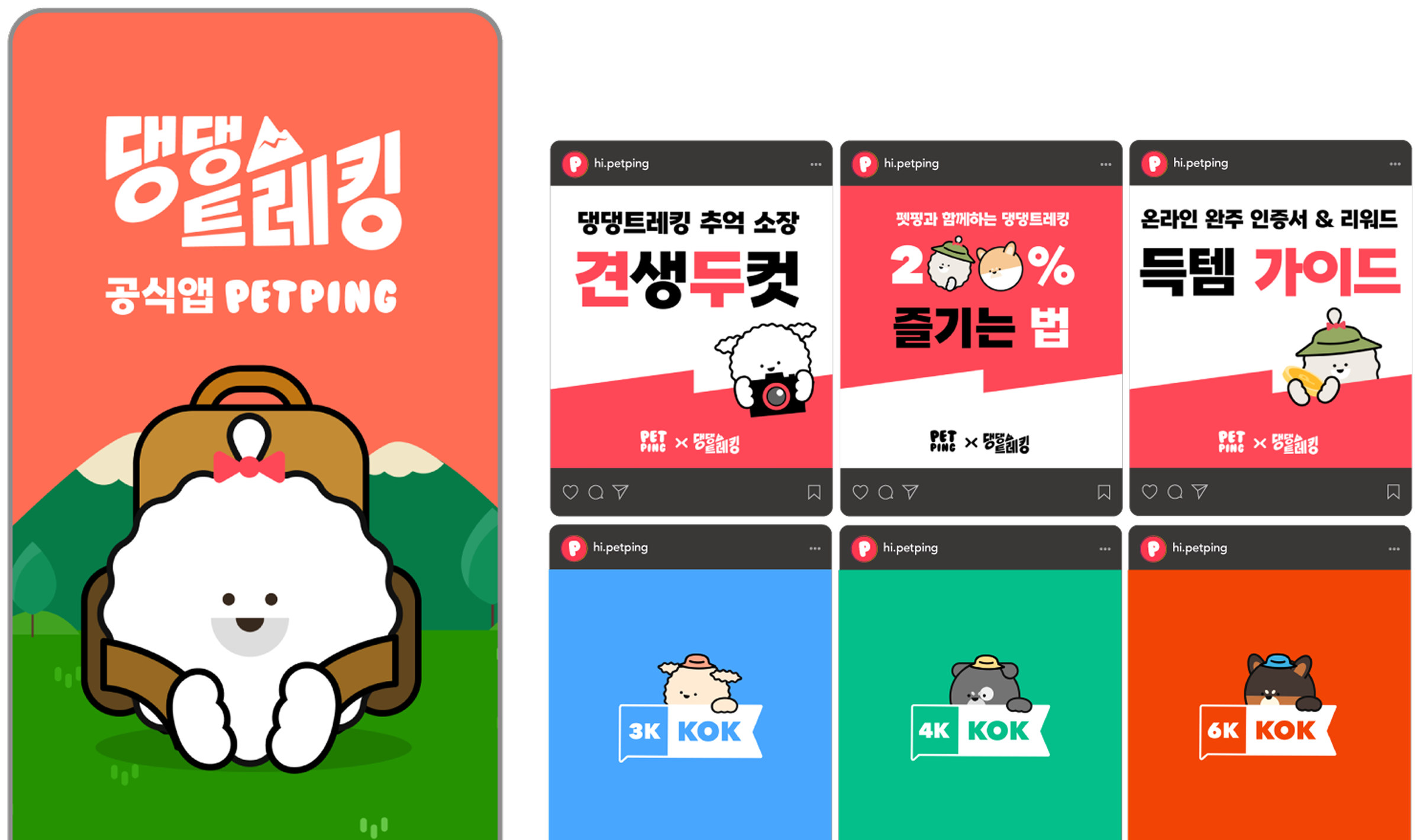 댕댕트레킹 인스타그램 티징 콘텐츠